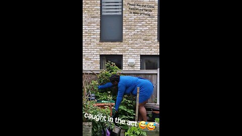 caught my wife in the act in our garden 😮🤯