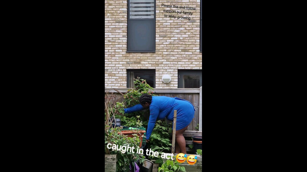 caught my wife in the act in our garden 😮🤯