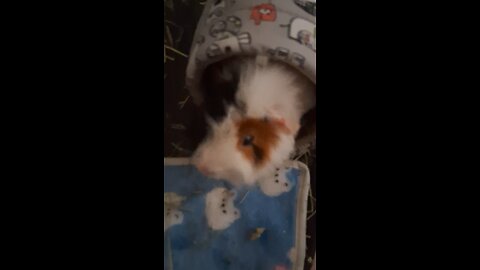 Good morning! Our 1st Rumble video just for Rumble. Love, Gary & Sane!