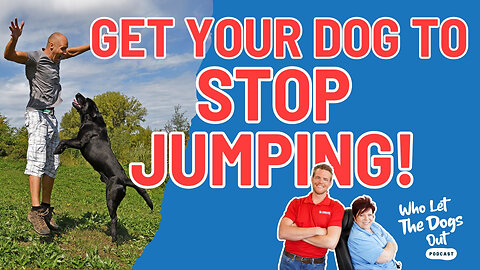 9 Ways To Get Your Dog to STOP JUMPING 🐶 — Dog Talk Ep. 062