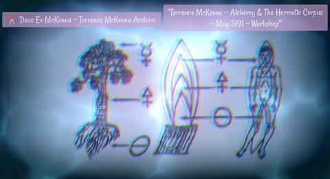 Terrence McKenna - Mercurial § Yin Yang ∆ Alchemy 🗣️