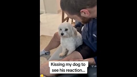 Kissing dog and its reaction?