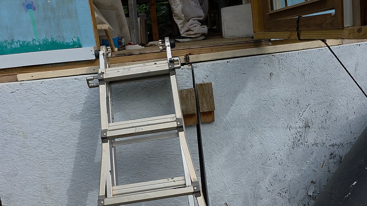 Two of The Three Hives Didn't Survive