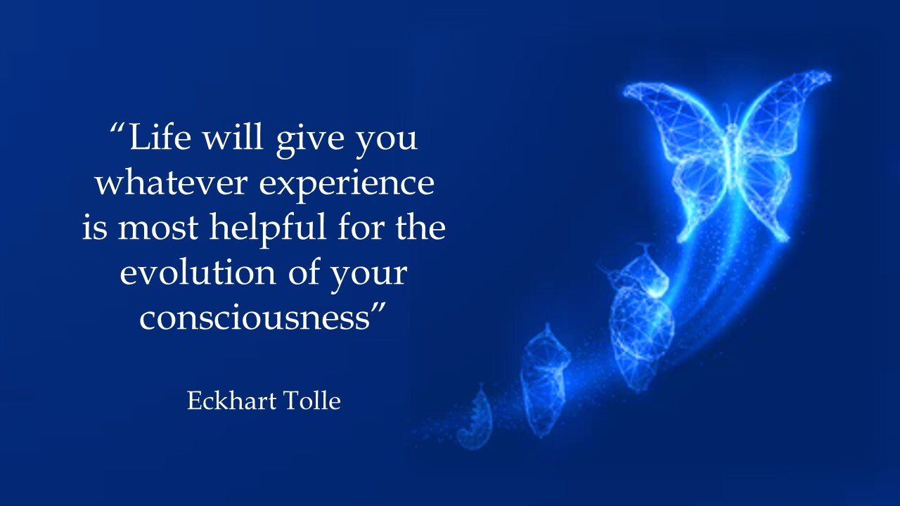 Soul of the EveryMan - Life -- Experience and Consciousness