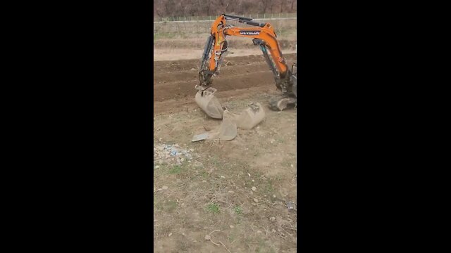 Porcelain and shovel work for planting a tree