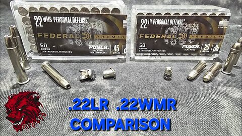 Federal Punch .22LR & .22WMR: Can Rimfire Be Effective for Self-Defense?