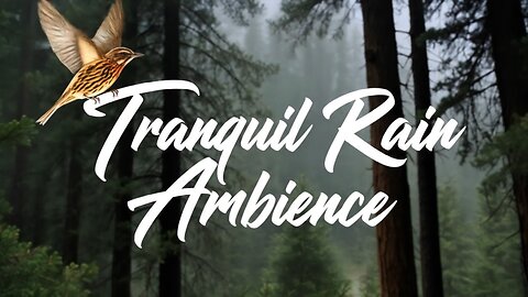 Peaceful Rain Ambience to Reduce Anxiety and Sleep Deeper 🌧️
