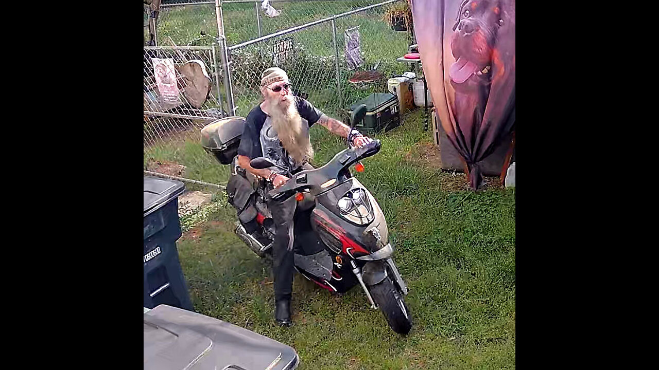 Gator Moped Thief
