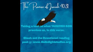 The Promise of Isaiah 40:31