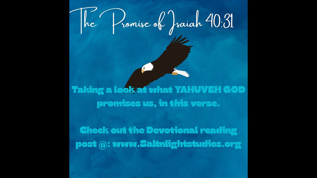 The Promise of Isaiah 40:31