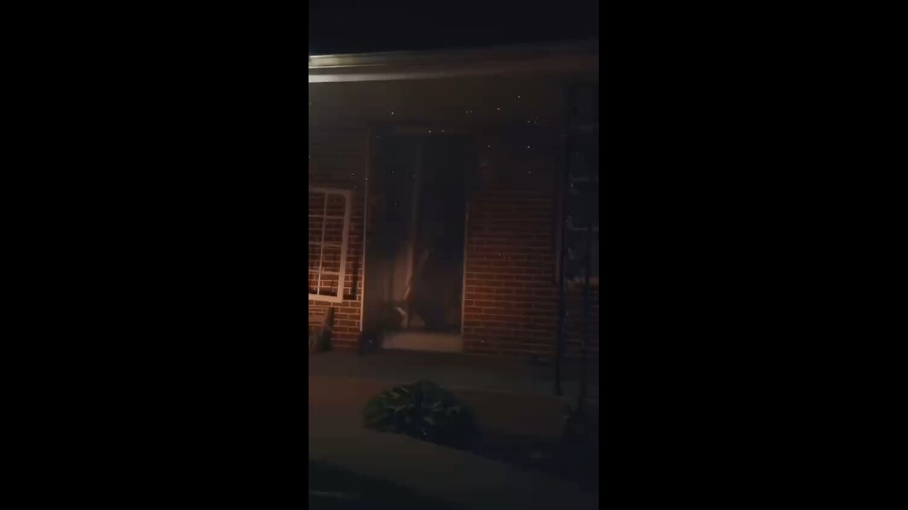 Homeland security posted this I’m dead 🤣