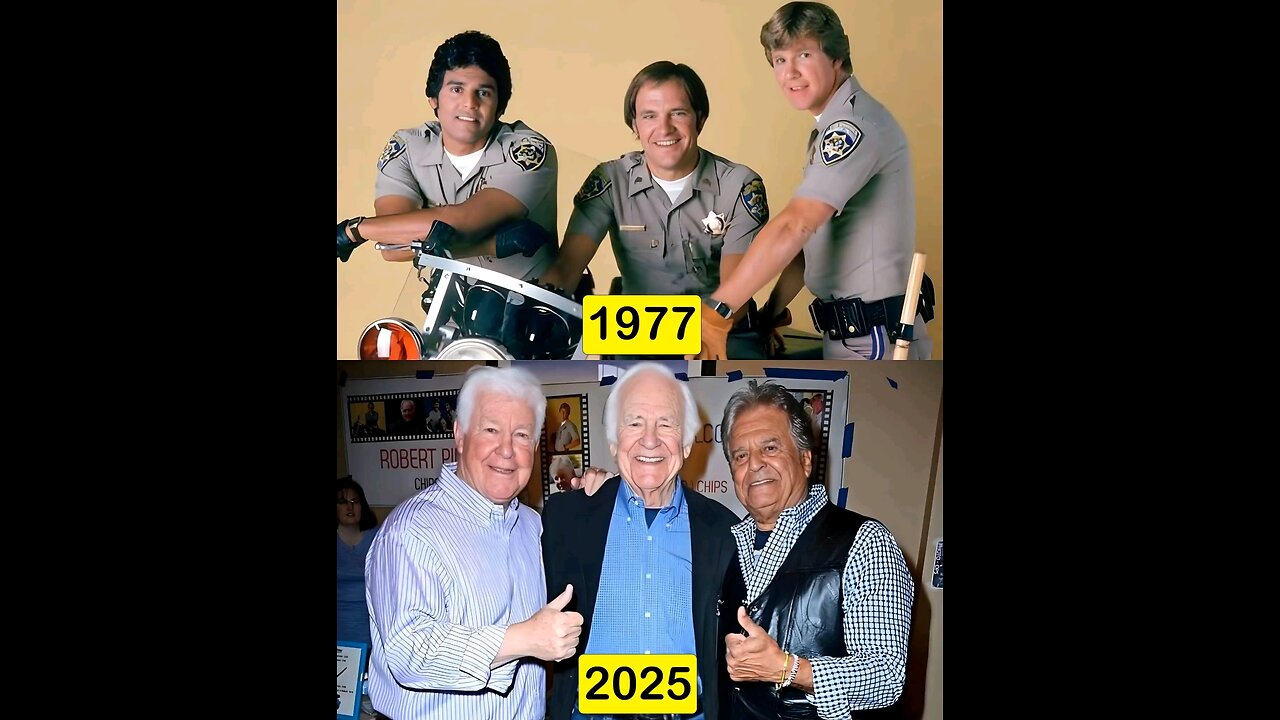 CHIP'S 🚔
