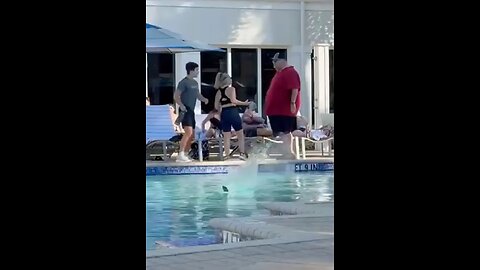NY lawyer accused of stalking mistress clashes with country club guests in poolside Florida fight