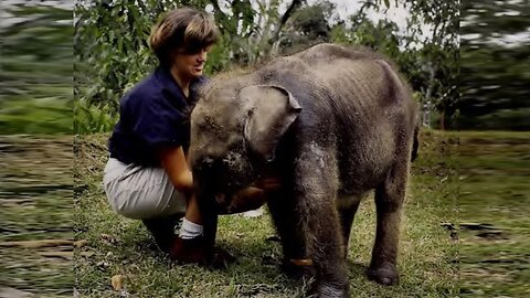 She died young, making the pandemic possible… yet is unknown (or overlooked) by most (Feb 25 2025)