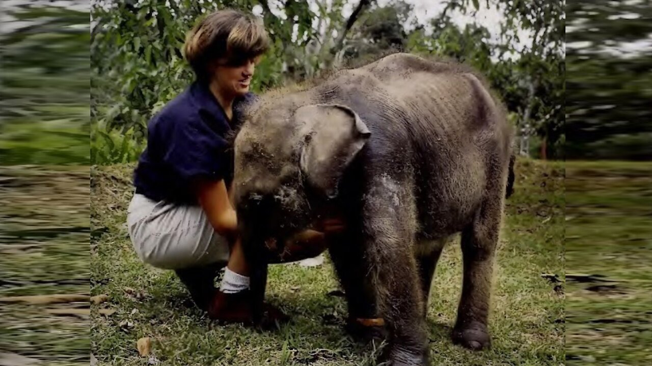 She died young, making the pandemic possible… yet is unknown (or overlooked) by most (Feb 25 2025)