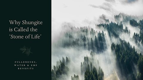 Why Shungite Is Called the “Stone of Life” | Fullerenes, Water Purification & EMF Protection