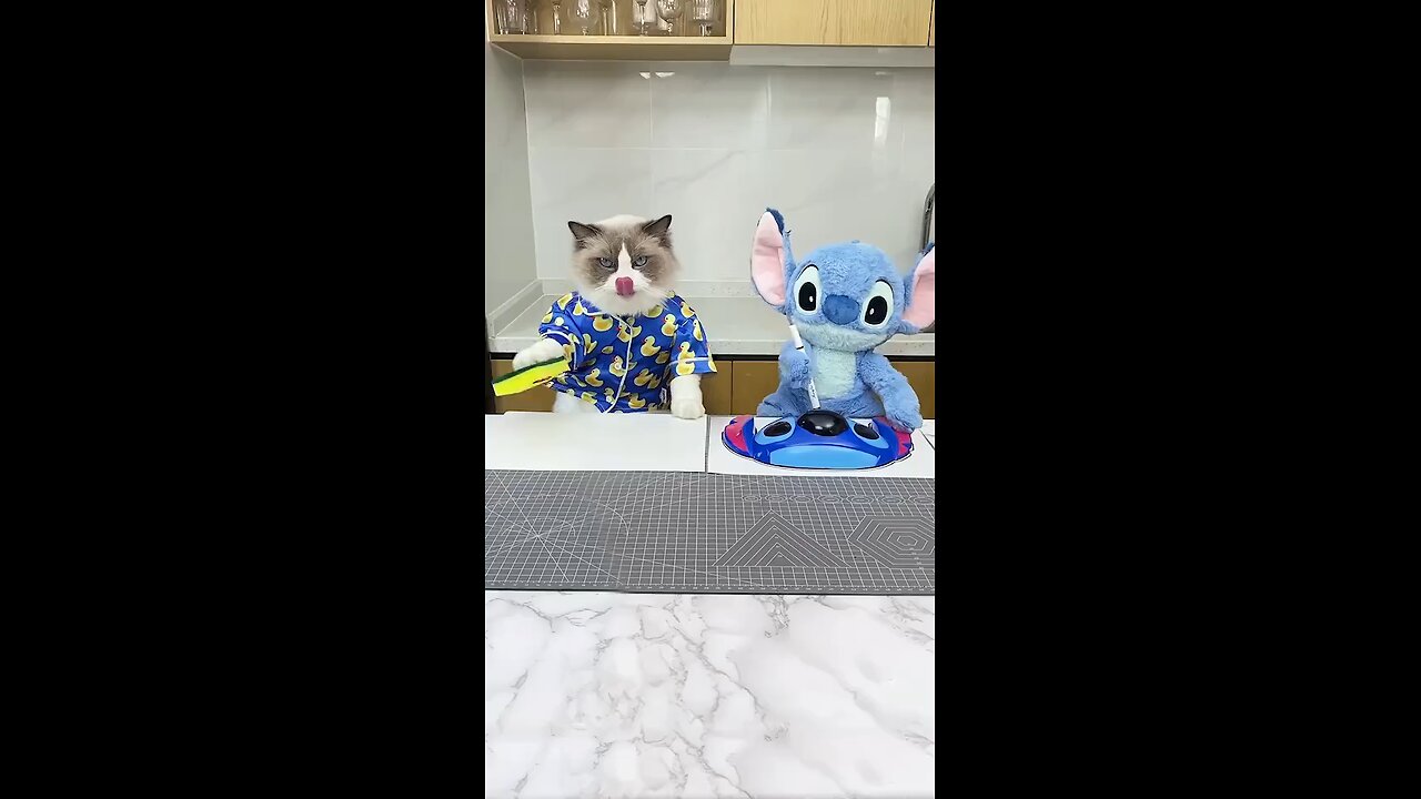 Respect Cats🐱