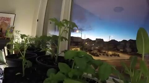 "Guide to Setting Up a Basic Indoor Grow Room"