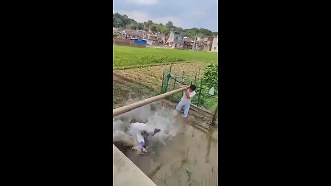 Funny video