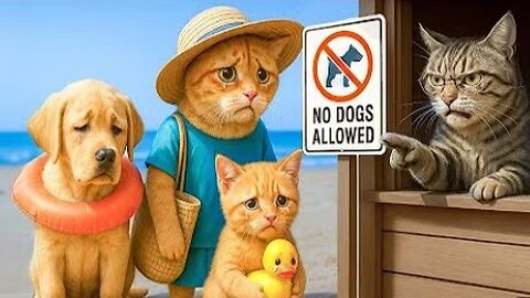 Puppy Banned from Beach! Mama Cat & Ginger Make a Disguise Hat to Help Him Swim 🐾😼