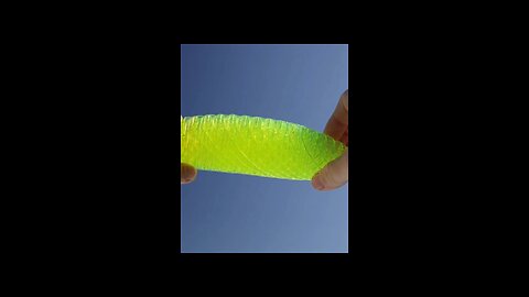 Morf Fidget Worm Toy