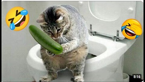 Funny Animal Videos 🥰 - Funniest Dogs and Cats Videos 😁