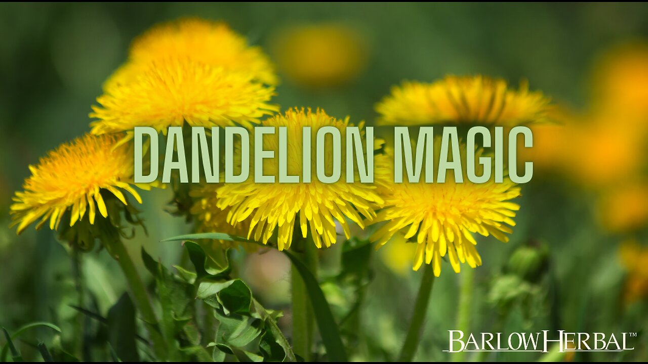 The Health Benefits of Dandelion