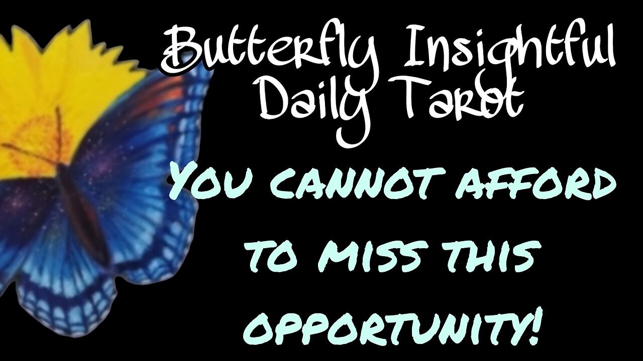 Butterfly Insightful Daily Tarot - You cannot afford to miss this opportunity! clear obstacles!