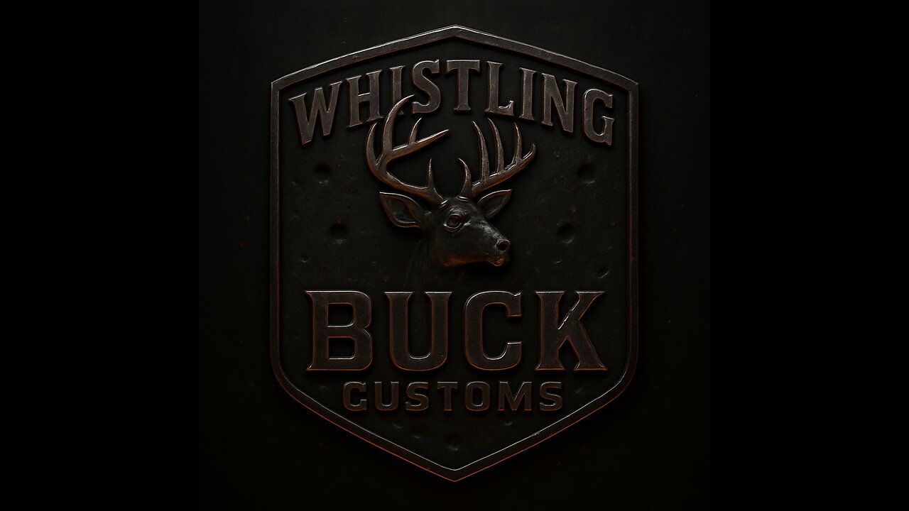 Minnesota ICE insurrectionist