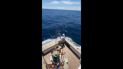 Captain Kendall of Gemach Offshore hunting sea monsters with Gemach AI