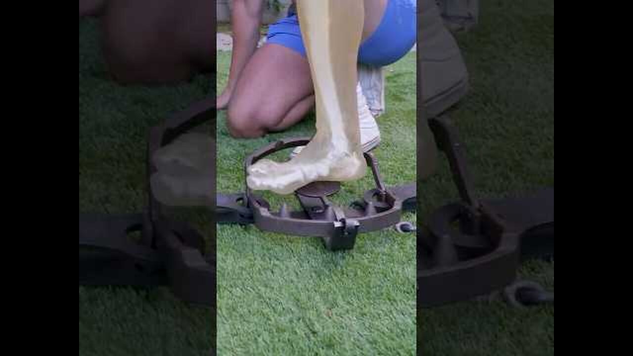 Bear Trap VS Leg🦵