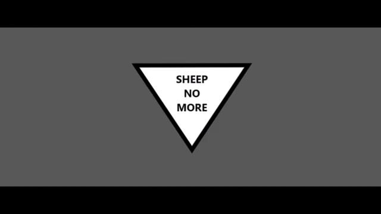 Sheep No More - Ruby Ray Media