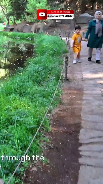 Botanical Garden, Iran, Tehran