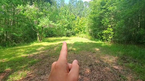 Homestead Tour