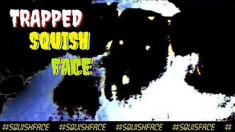 Trapped - New Grunge Shoegaze Noise Pop