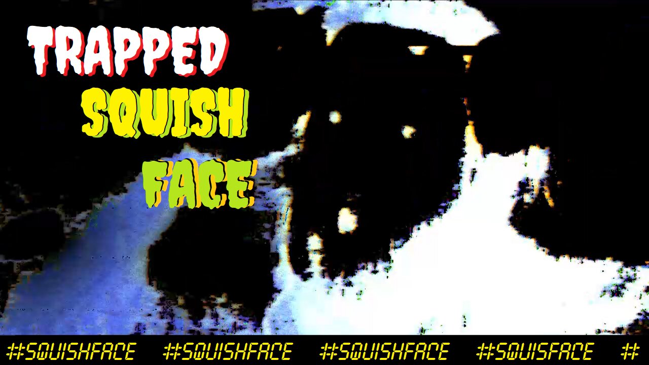 Trapped - New Grunge Shoegaze Noise Pop