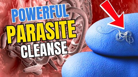 Unleash a Doctor-Certified Strategy to Eradicate Parasites in Record Time! N37