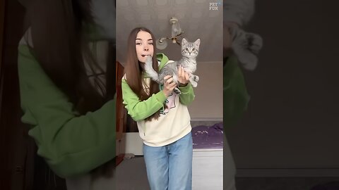 Funny Animals #funnyanimals #animals #pets #shorts