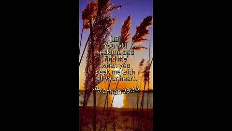 Jeremiah 29:13 (NIV)