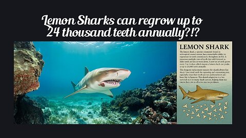 Fun Fact for June 22nd 2025 Pt 2