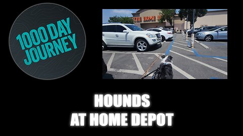 1000 Day Journey 0675 Hounds at Home Depot