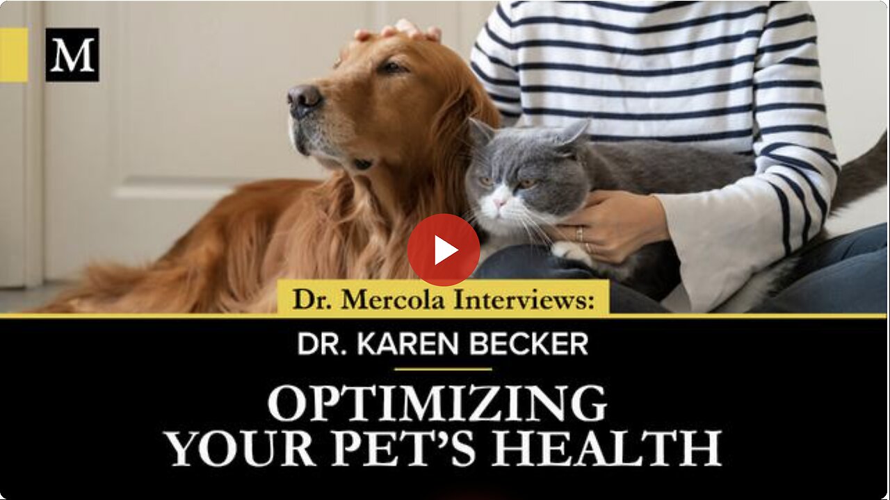 Optimizing Your Pet's Health - Interview with Dr. Karen Becker