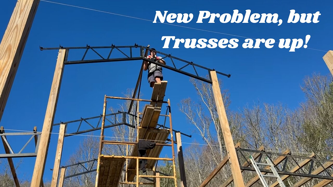 Barn, Boards, and Babies