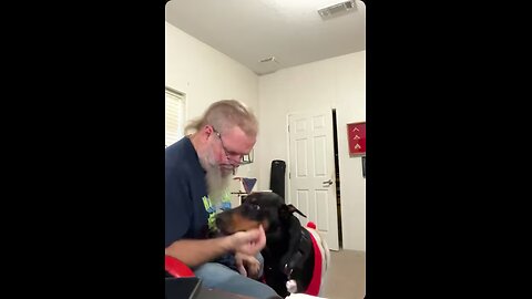 Doberman Needs Emergency Hugs: VaderTheDobie Interrupts the Stream 🤣❤️🐾