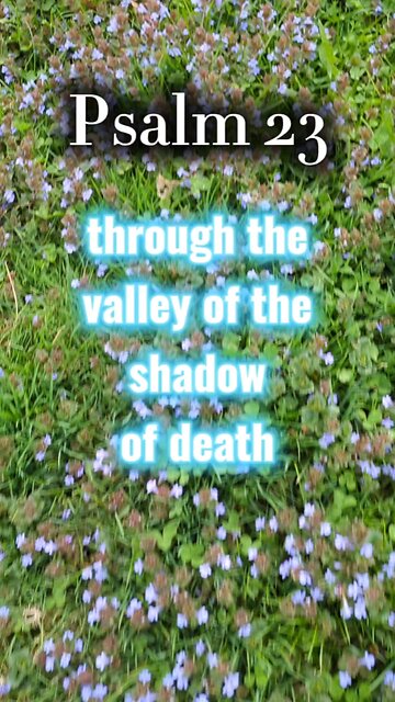 If this doesn't uplift you...