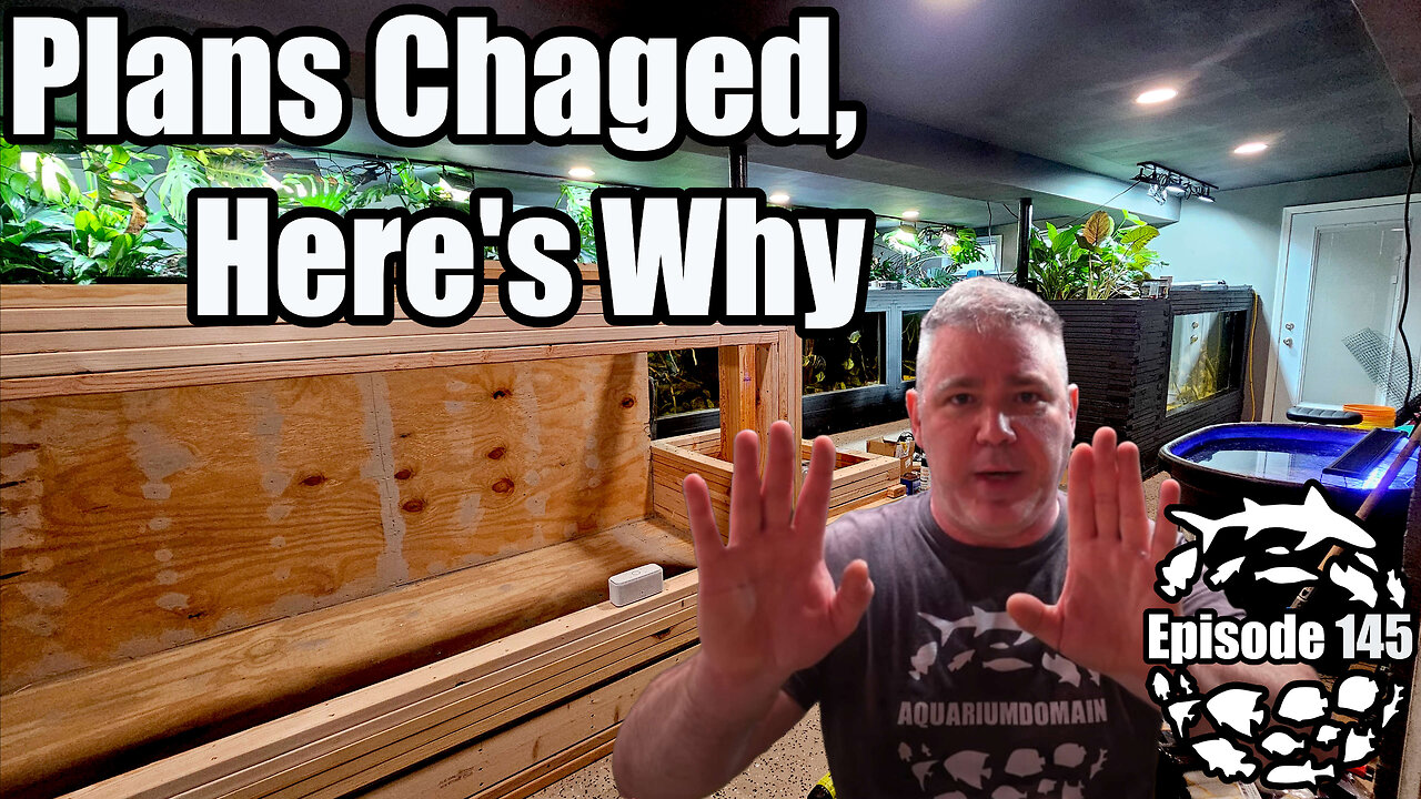 Plans Changed & Here is Why. The Fish Basement is about to get more Epic!