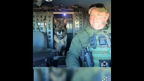 Not All Heros Wear Capes & Some Are Not Even Human🥺🐾😍