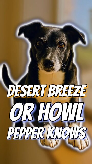 Desert Breeze or Howl? Pepper Knows.