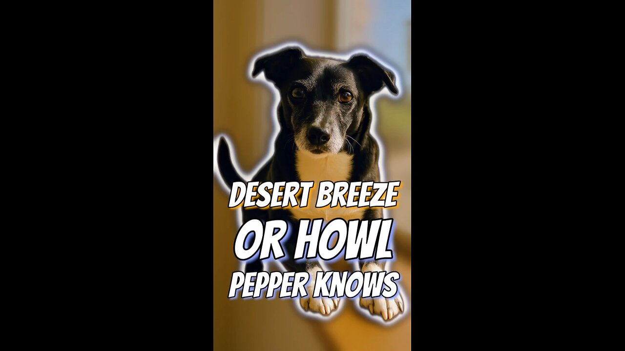Desert Breeze or Howl? Pepper Knows.