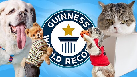 10 Cutest Animals That Hold World Records 🏆🐾 | You Won’t Believe #1!